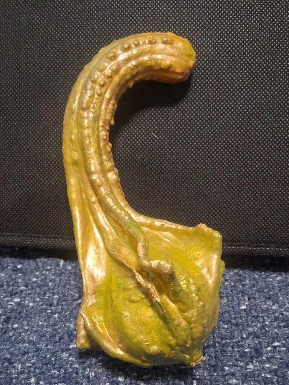 Decorative Dried Gourds-
